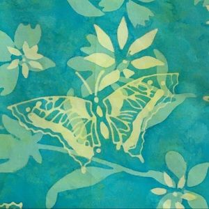 Meet your Posher, Phoebe